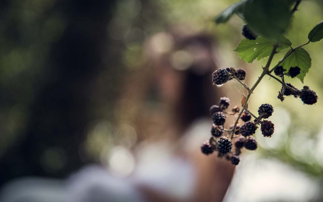 Fruits
